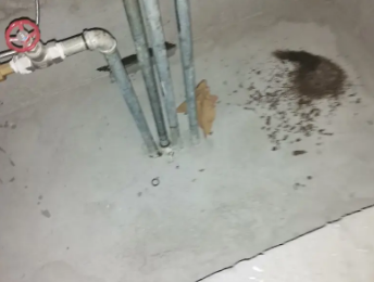 定远卫生间测漏水价格明细